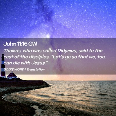 Picture 02 - John 11:16 GW - Thomas, who was called Didymus, said to the rest - Bible Verse Picture
