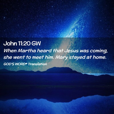 Picture 02 - John 11:20 GW - When Martha heard that Jesus was coming, she went - Bible Verse Picture