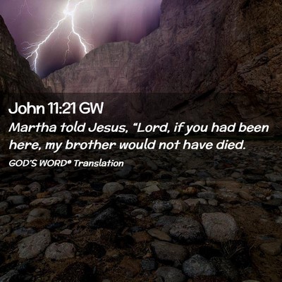 Picture 02 - John 11:21 GW - Martha told Jesus, “Lord, if you had been here, - Bible Verse Picture