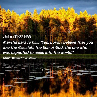 Picture 02 - John 11:27 GW - Martha said to him, “Yes, Lord, I believe that - Bible Verse Picture
