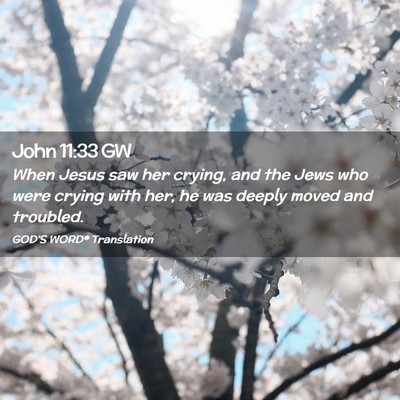 Picture 02 - John 11:33 GW - When Jesus saw her crying, and the Jews who were - Bible Verse Picture