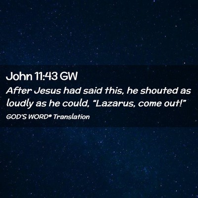 Picture 02 - John 11:43 GW - After Jesus had said this, he shouted as loudly - Bible Verse Picture