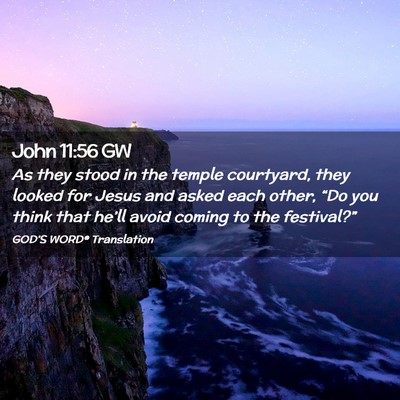 Picture 02 - John 11:56 GW - As they stood in the temple courtyard, they - Bible Verse Picture