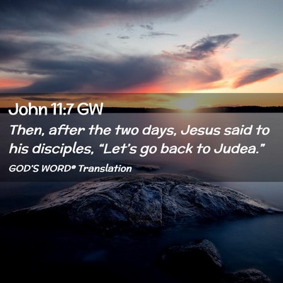 Picture 02 - John 11:7 GW - Then, after the two days, Jesus said to his - Bible Verse Picture