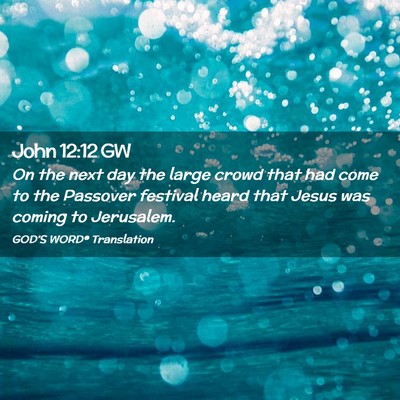 Picture 02 - John 12:12 GW - On the next day the large crowd that had come to - Bible Verse Picture