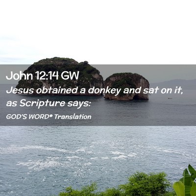 Picture 02 - John 12:14 GW - Jesus obtained a donkey and sat on it, as - Bible Verse Picture