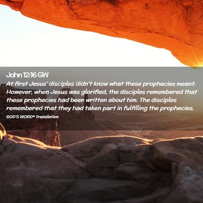 Picture 02 - John 12:16 GW - At first Jesus’ disciples didn’t know what - Bible Verse Picture
