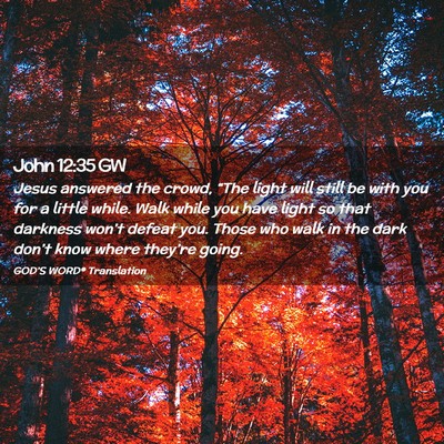 Picture 02 - John 12:35 GW - Jesus answered the crowd, “The light will still - Bible Verse Picture