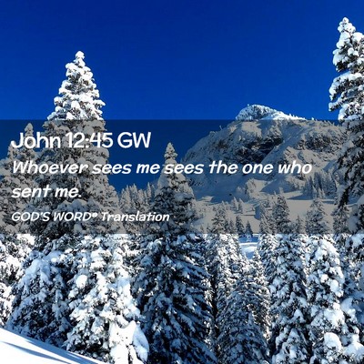 Picture 02 - John 12:45 GW - Whoever sees me sees the one who sent - Bible Verse Picture