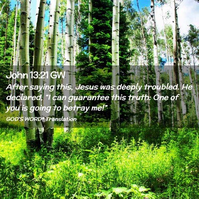 Picture 02 - John 13:21 GW - After saying this, Jesus was deeply troubled. He - Bible Verse Picture