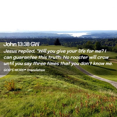 Picture 02 - John 13:38 GW - Jesus replied, “Will you give your life for me? - Bible Verse Picture