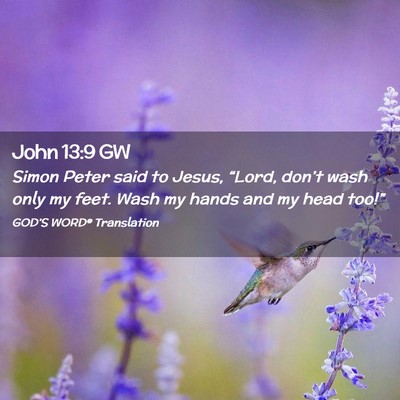 Picture 02 - John 13:9 GW - Simon Peter said to Jesus, “Lord, don’t wash - Bible Verse Picture