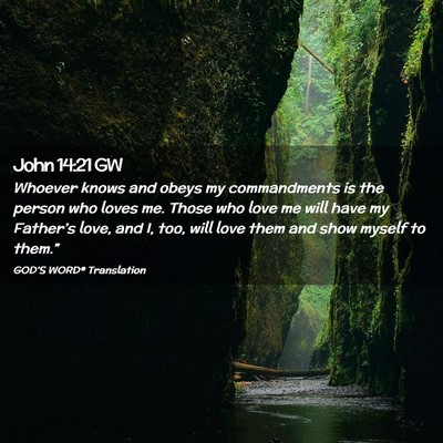 Picture 02 - John 14:21 GW - Whoever knows and obeys my commandments is the - Bible Verse Picture