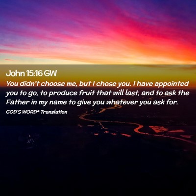Picture 02 - John 15:16 GW - You didn’t choose me, but I chose you. I have - Bible Verse Picture