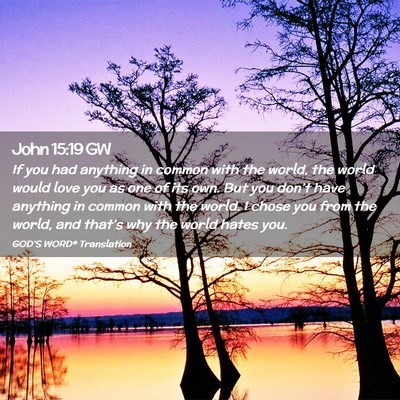 Picture 02 - John 15:19 GW - If you had anything in common with the world, the - Bible Verse Picture