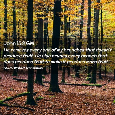 Picture 02 - John 15:2 GW - He removes every one of my branches that - Bible Verse Picture