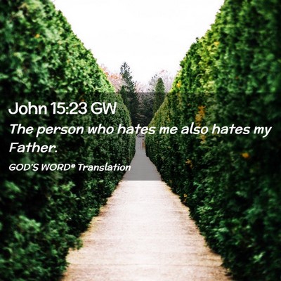 Picture 02 - John 15:23 GW - The person who hates me also hates my - Bible Verse Picture