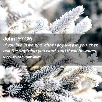 Picture 02 - John 15:7 GW - If you live in me and what I say lives in you, - Bible Verse Picture