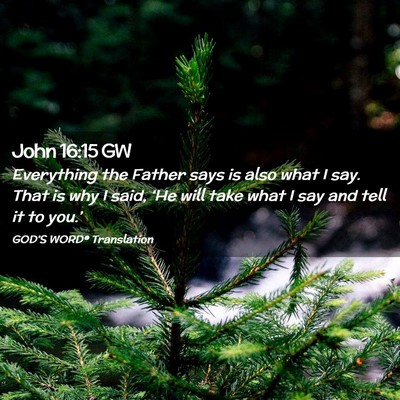 Picture 02 - John 16:15 GW - Everything the Father says is also what I say. - Bible Verse Picture