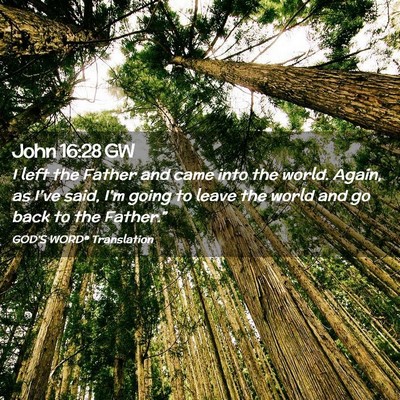 Picture 02 - John 16:28 GW - I left the Father and came into the world. Again, - Bible Verse Picture