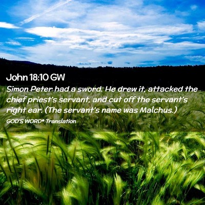 Picture 02 - John 18:10 GW - Simon Peter had a sword. He drew it, attacked the - Bible Verse Picture