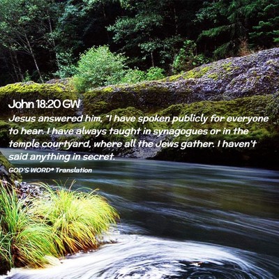 Picture 02 - John 18:20 GW - Jesus answered him, “I have spoken publicly for - Bible Verse Picture