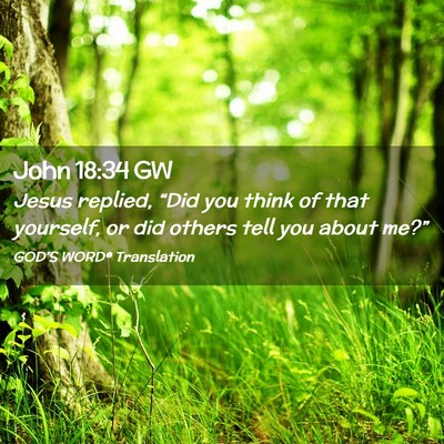 Picture 02 - John 18:34 GW - Jesus replied, “Did you think of that yourself, - Bible Verse Picture