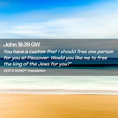 Picture 02 - John 18:39 GW - You have a custom that I should free one person - Bible Verse Picture