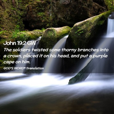 Picture 02 - John 19:2 GW - The soldiers twisted some thorny branches into a - Bible Verse Picture