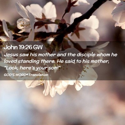 Picture 02 - John 19:26 GW - Jesus saw his mother and the disciple whom he - Bible Verse Picture