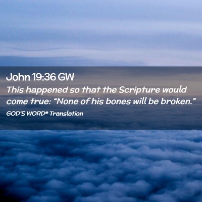 Picture 02 - John 19:36 GW - This happened so that the Scripture would come - Bible Verse Picture