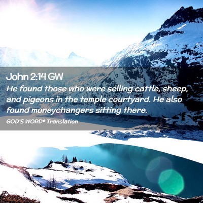 Picture 02 - John 2:14 GW - He found those who were selling cattle, sheep, - Bible Verse Picture