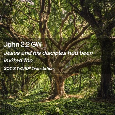 Picture 02 - John 2:2 GW - Jesus and his disciples had been invited - Bible Verse Picture