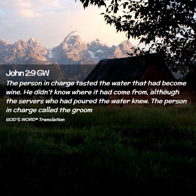 Picture 02 - John 2:9 GW - The person in charge tasted the water that had - Bible Verse Picture