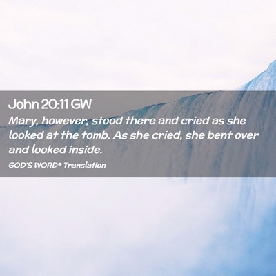 Picture 02 - John 20:11 GW - Mary, however, stood there and cried as she - Bible Verse Picture