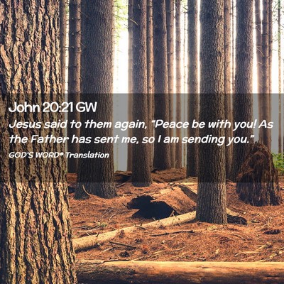 Picture 02 - John 20:21 GW - Jesus said to them again, “Peace be with you! - Bible Verse Picture