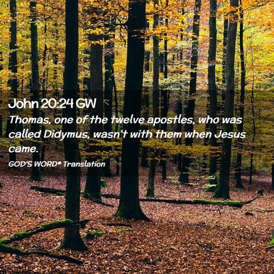 Picture 02 - John 20:24 GW - Thomas, one of the twelve apostles, who was - Bible Verse Picture