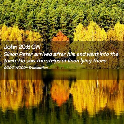 Picture 02 - John 20:6 GW - Simon Peter arrived after him and went into the - Bible Verse Picture