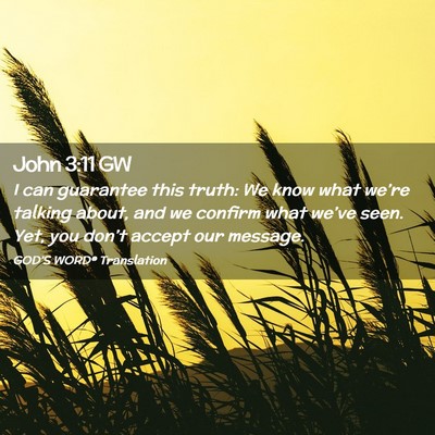 Picture 02 - John 3:11 GW - I can guarantee this truth: We know what we’re - Bible Verse Picture