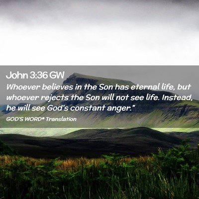 Picture 02 - John 3:36 GW - Whoever believes in the Son has eternal life, but - Bible Verse Picture