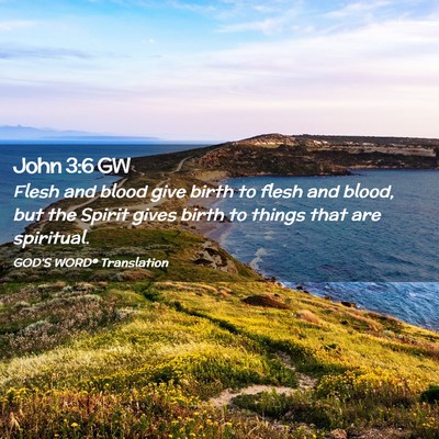 Picture 02 - John 3:6 GW - Flesh and blood give birth to flesh and blood, - Bible Verse Picture