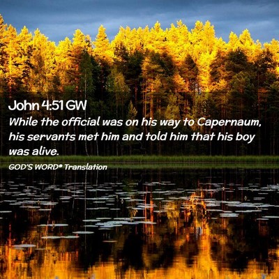 Picture 02 - John 4:51 GW - While the official was on his way to Capernaum, - Bible Verse Picture