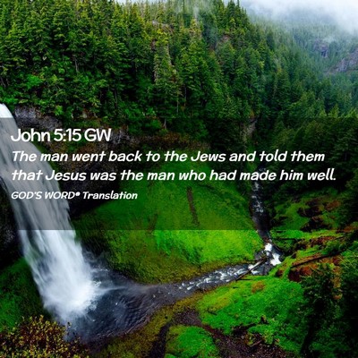 Picture 02 - John 5:15 GW - The man went back to the Jews and told them that - Bible Verse Picture
