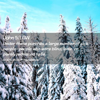 Picture 02 - John 5:3 GW - Under these porches a large number of sick - Bible Verse Picture