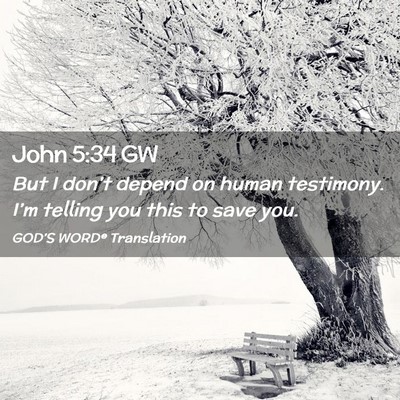 Picture 02 - John 5:34 GW - But I don’t depend on human testimony. I’m - Bible Verse Picture
