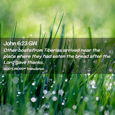 Picture 02 - John 6:23 GW - Other boats from Tiberias arrived near the place - Bible Verse Picture