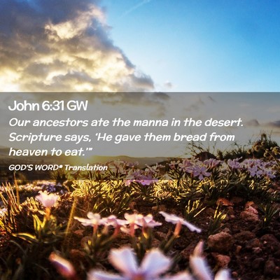 Picture 02 - John 6:31 GW - Our ancestors ate the manna in the desert. - Bible Verse Picture
