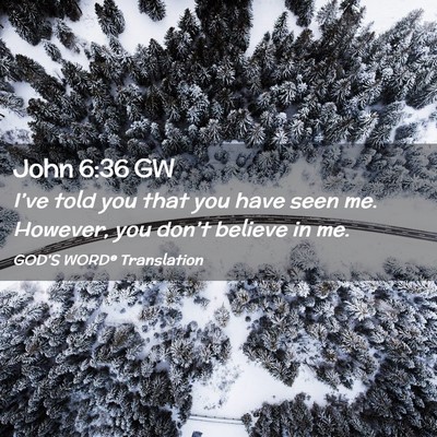 Picture 02 - John 6:36 GW - I’ve told you that you have seen me. However, - Bible Verse Picture