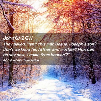 Picture 02 - John 6:42 GW - They asked, “Isn’t this man Jesus, Joseph’s - Bible Verse Picture