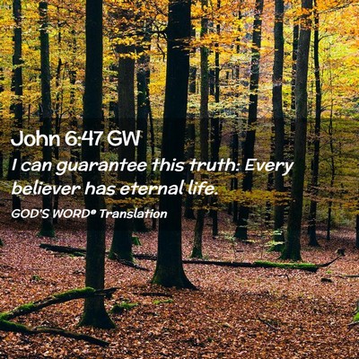 Picture 02 - John 6:47 GW - I can guarantee this truth: Every believer has - Bible Verse Picture
